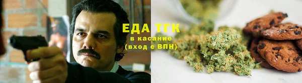 ECSTASY Алзамай
