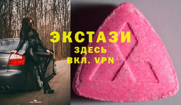 ECSTASY Алзамай