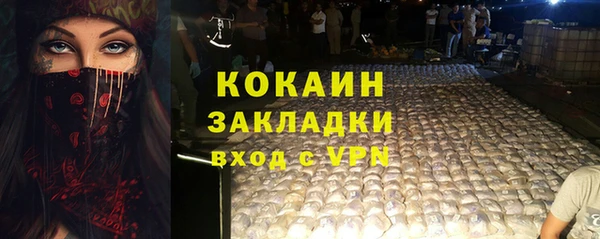 спайс Алексин