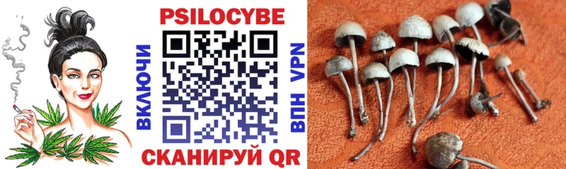 Псилоцибиновые грибы ЛСД  Купить закладки  Северская 
